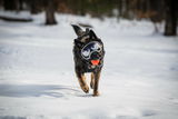 GSD_Brothers review photo