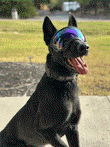Brandon P. review photo