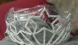 Silver T. review photo
