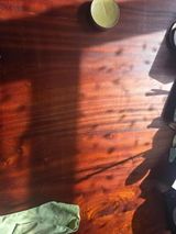 Shani review photo