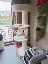 Martine Mertens review photo