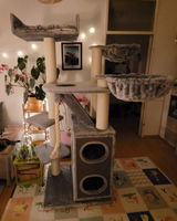 Katharina K. review photo