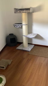Clarissa Gnadlinger review photo