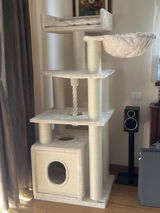 Mirela C. review photo