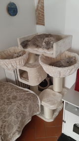 Giada Gianfriddo review photo