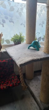 Kim Braat review photo