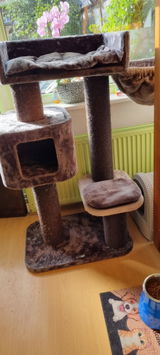 Chr Smit-Scholten review photo