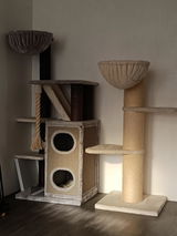 Camilia Remayle review photo