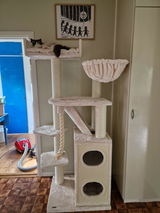 Louise Vendin review photo