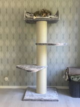 Sharonne review photo