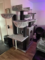 Christer Asplund review photo