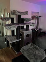 Christer Asplund review photo