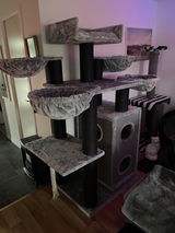 Christer Asplund review photo