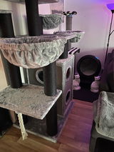 Christer Asplund review photo