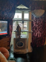 Linda Tallons review photo