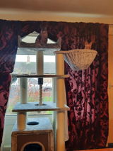 Linda Tallons review photo