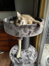 Laena Whiting review photo