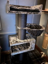 Ann Downes review photo
