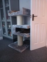 Karen Lovatt review photo