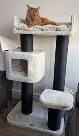 Paul Towers review photo