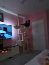 Soraya Weijers review photo