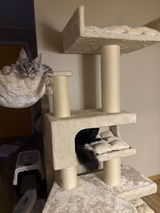 Gabriella J review photo