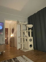 Ebba Ringdahl review photo