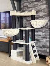 R. van Es review photo