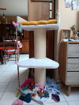 Katell T review photo