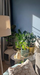 Karola review photo