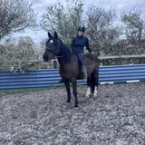 Tillie review photo