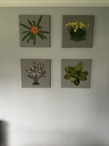 Lorie Fallat review photo