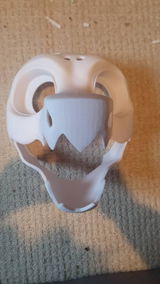 Finnley review photo