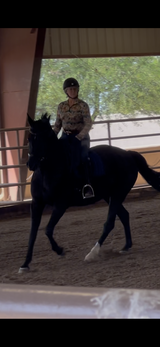 AZ-Horse girl review photo
