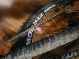 Shane Z. review photo