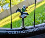Tom A. review photo