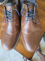 Dennis A DiMatteo review photo