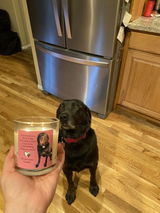 Customer review photo
