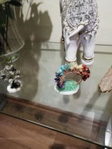 Monica C. review photo