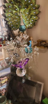 Viviana Rozas review photo