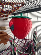 Buyer photo of Strawberry Rat Hide