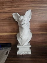 Buyer photo of Custom Pet Bust from Your Photo