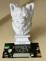 Photo from Etsy c.