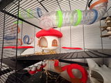 Buyer photo of Fairy Mushroom Rat Cage Accessory Kit