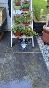Buyer photo of Gothic Head Planter, Twin Bowl Face Plant Pot