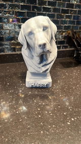 Buyer photo of Custom Pet Bust from Your Photo