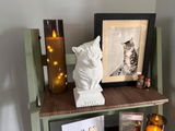 Buyer photo of Custom Pet Bust from Your Photo