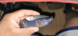 Durrell review photo