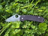 Caderzz Morgan review photo