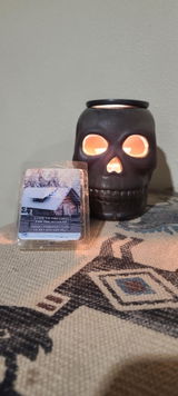 David Swart review photo